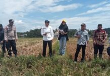 Mahkamah Syar’iyah Meureudu Laksanakan Pemeriksaan Setempat (Descente) atas Permohonan Mahkamah Syar’iyah Sabang